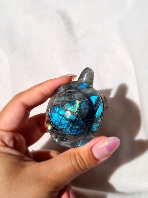 Tortue Labradorite Bleue