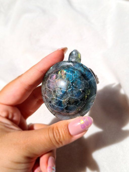 Tortue Labradorite Bleue