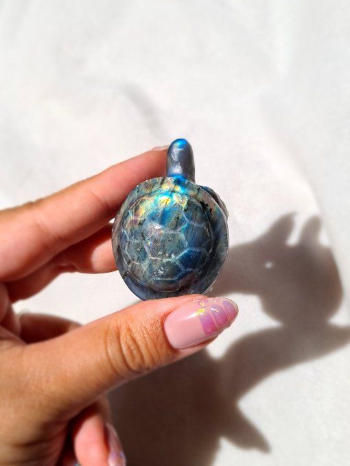 Tortue Labradorite Bleue