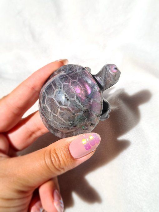 Tortue Labradorite Rose