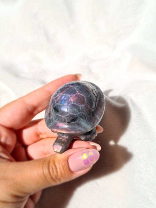 Tortue Labradorite Rose