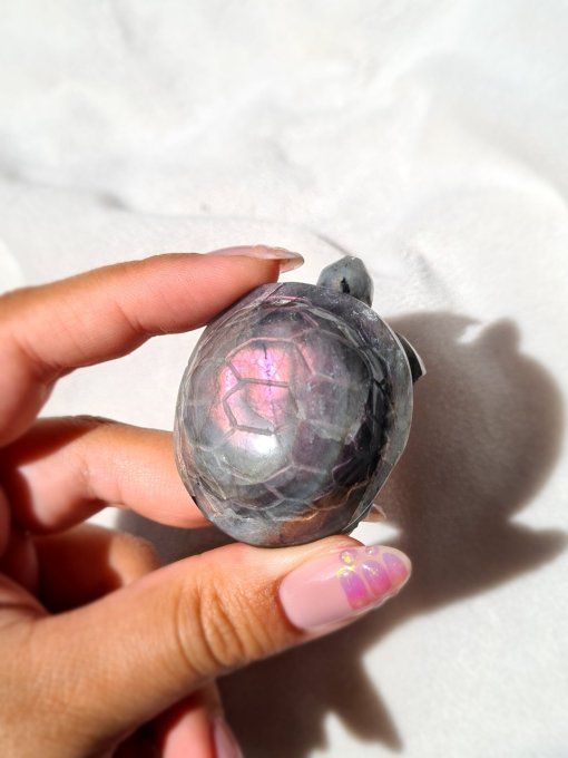 Tortue Labradorite Rose