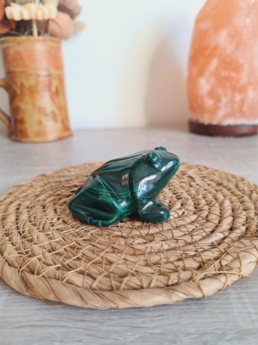 Grenouille en Malachite - Congo