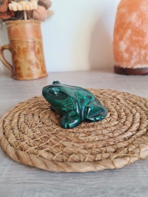 Grenouille en Malachite - Congo