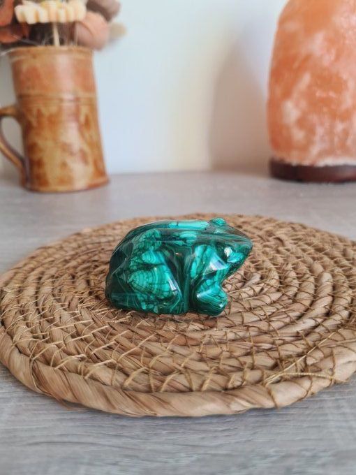 Grenouille en Malachite - Congo