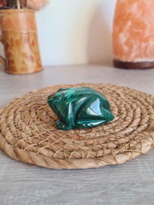 Grenouille en Malachite - Congo