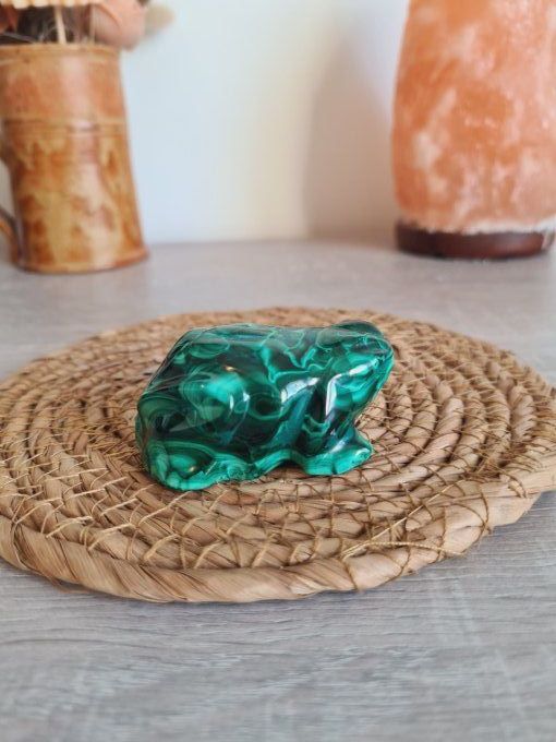 Grenouille en Malachite - Congo