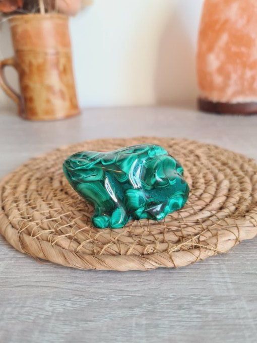 Grenouille en Malachite - Congo