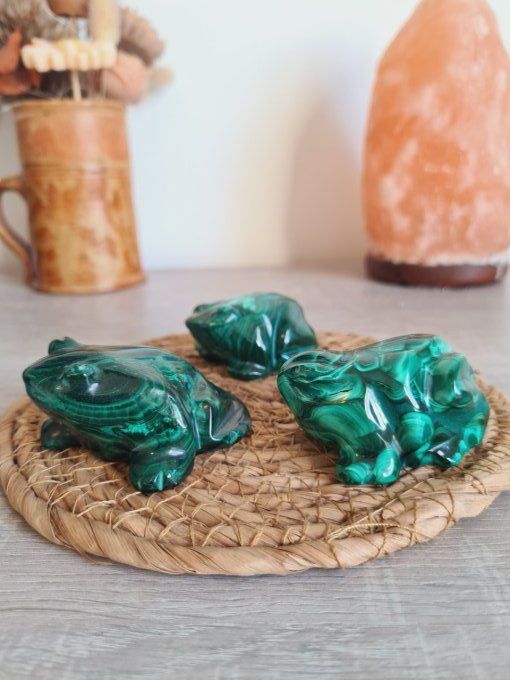 Grenouille en Malachite - Congo