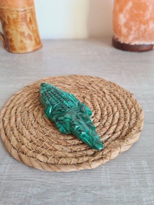 Crocodile en Malachite - Congo