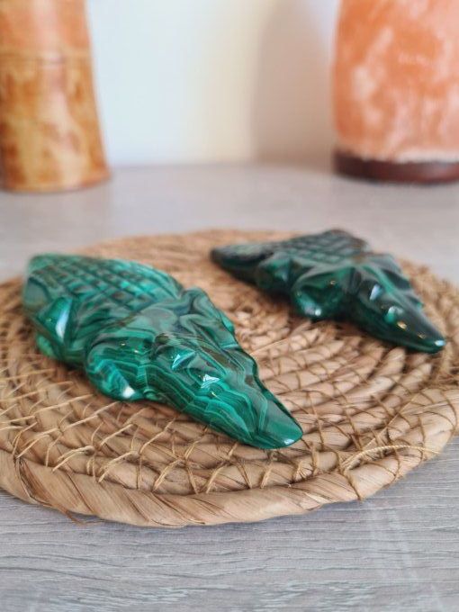 Crocodile en Malachite - Congo