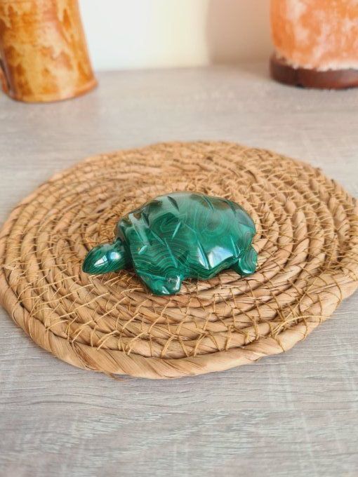 Tortue en Malachite - Congo